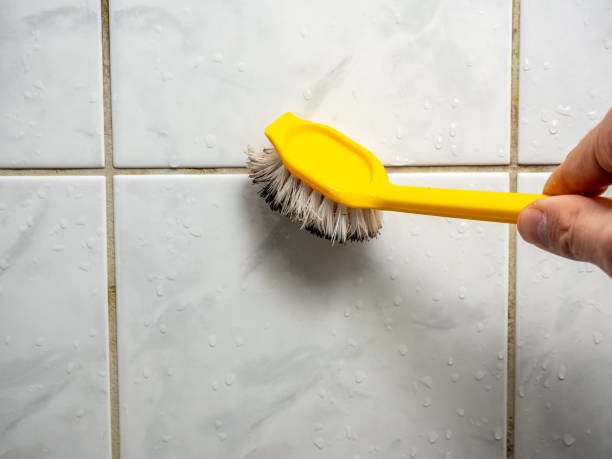 Best Mold Testing  in Georgetown, CA