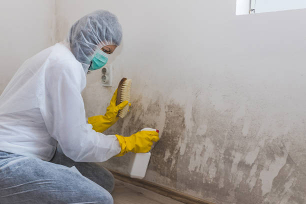 Best Residential Mold Removal  in Georgetown, CA