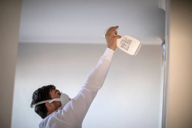 Best Mold Damage Repair  in Georgetown, CA