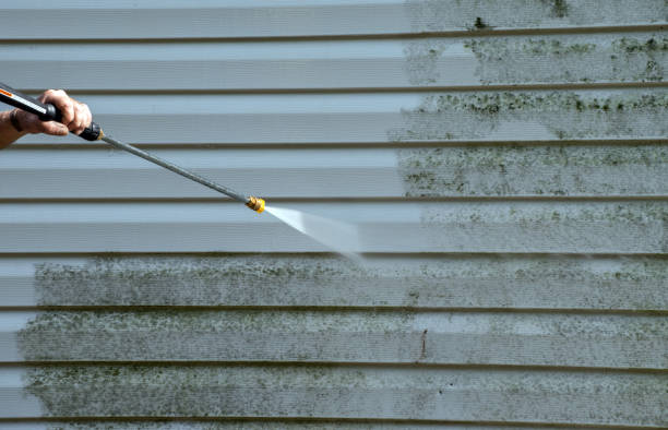 Best Commercial Mold Removal  in Georgetown, CA