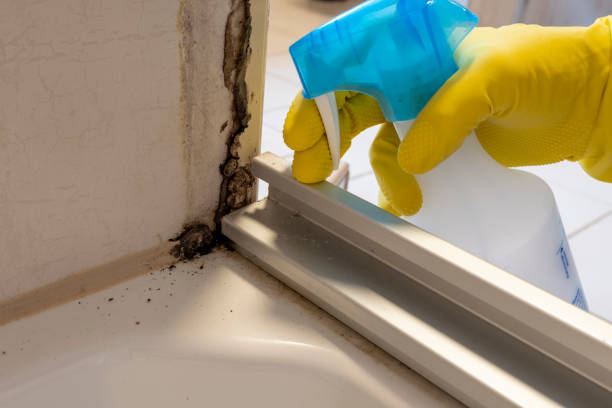 Best Crawl Space Mold Removal  in Georgetown, CA