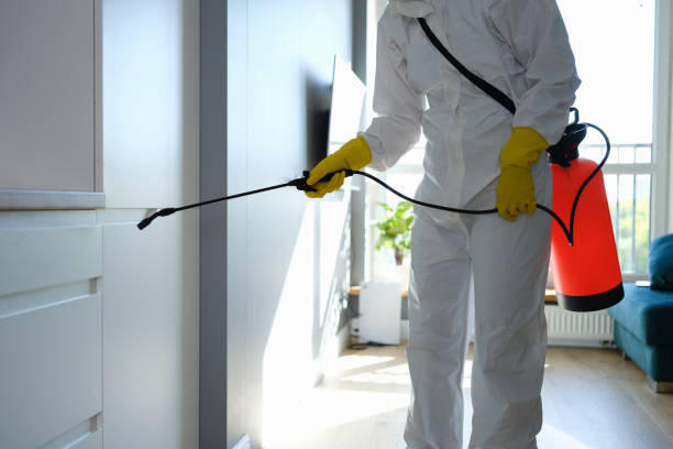 Best Mold Removal and Inspection  in Georgetown, CA