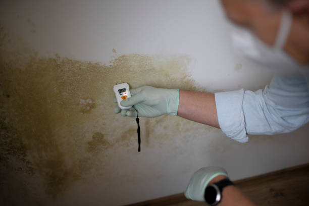 Water Damage Restoration in Georgetown, CA