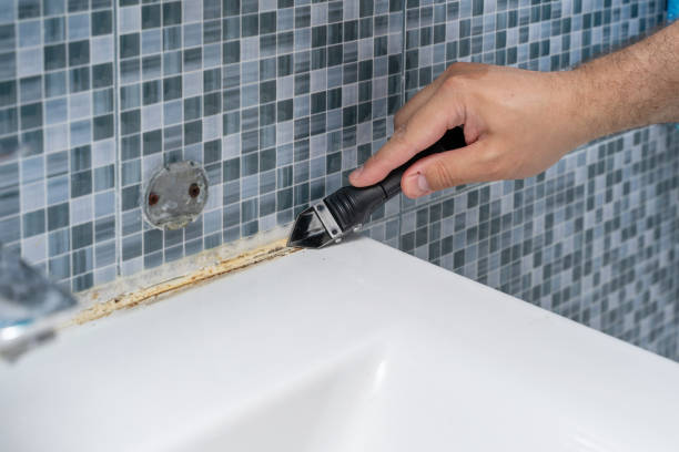 Best Emergency Mold Removal  in Georgetown, CA