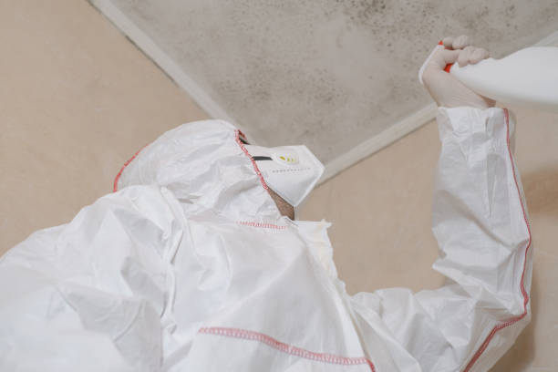 Reliable Georgetown, CA Mold Removal Solutions
